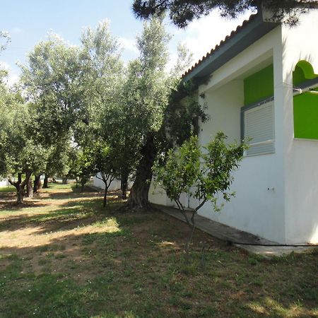 Bungalows Camping Kouyoni Gerakini Zewnętrze zdjęcie