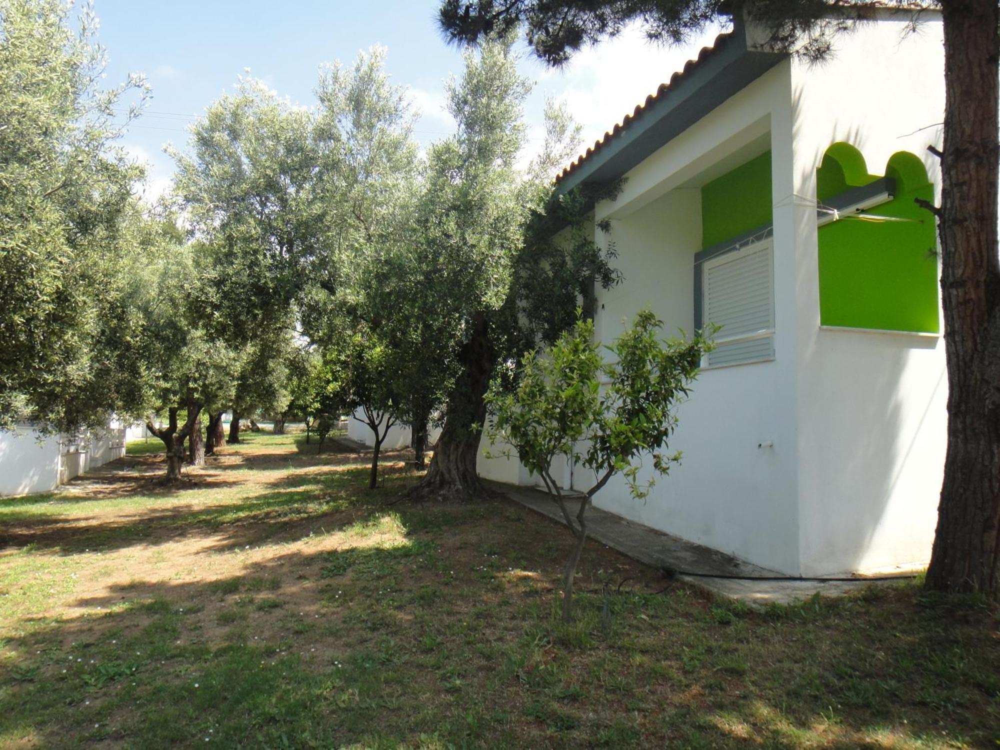 Bungalows Camping Kouyoni Gerakini Zewnętrze zdjęcie